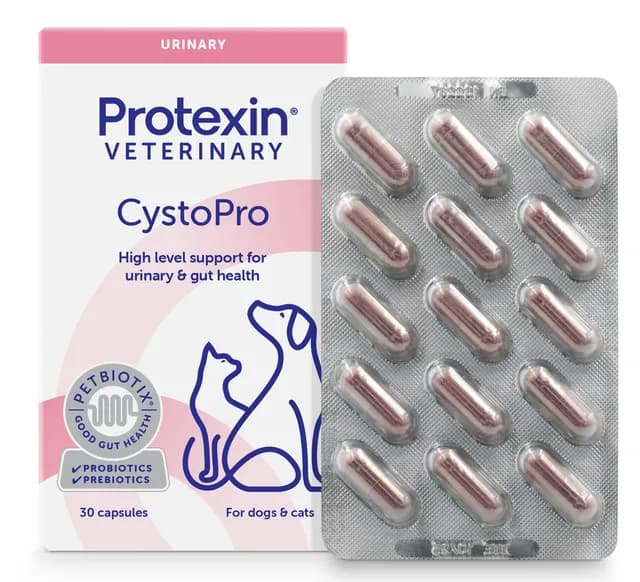 Protexin Veterinary Cystopro för Hundar 30 kapslar