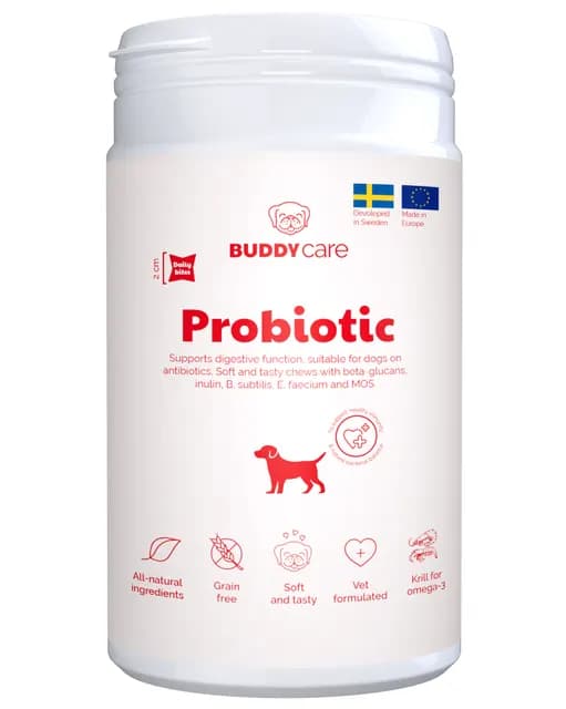 BuddyCare Probiotic 150 g