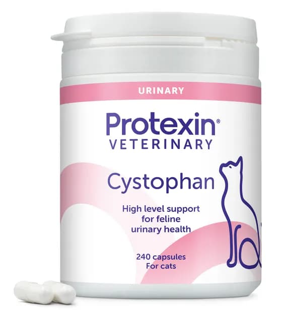 Protexin Veterinary Cystophan för Katter 240 kapslar