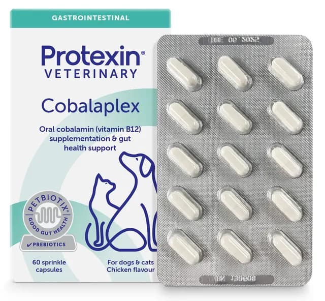 Protexin Veterinary Cobalaplex för Hundar och Katter 60 kapslar