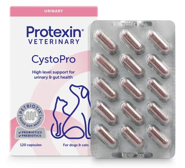 Protexin Veterinary Cystopro för Hundar 120 kapslar
