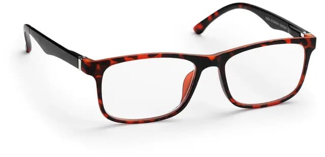 Haga Optik Läsglasögon Stockholm Matt havana/black +1,0