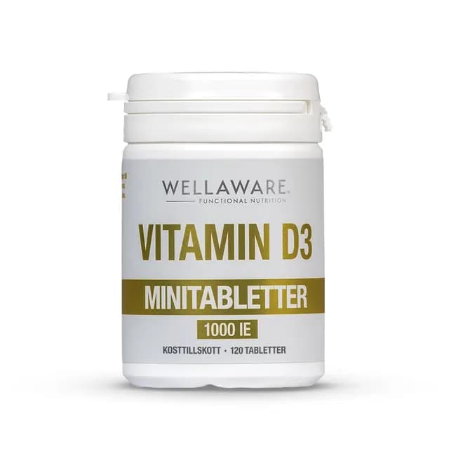 WellAware D3 1000IE 120 st minitabletter