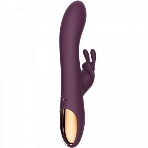 Ladylove Luxury Pleasure Kit 4