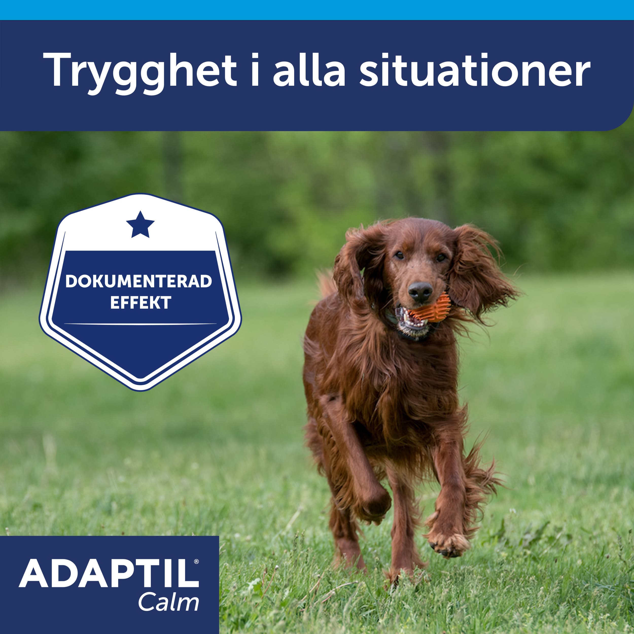 Adaptil Calm Halsband M/L - produktbild 5