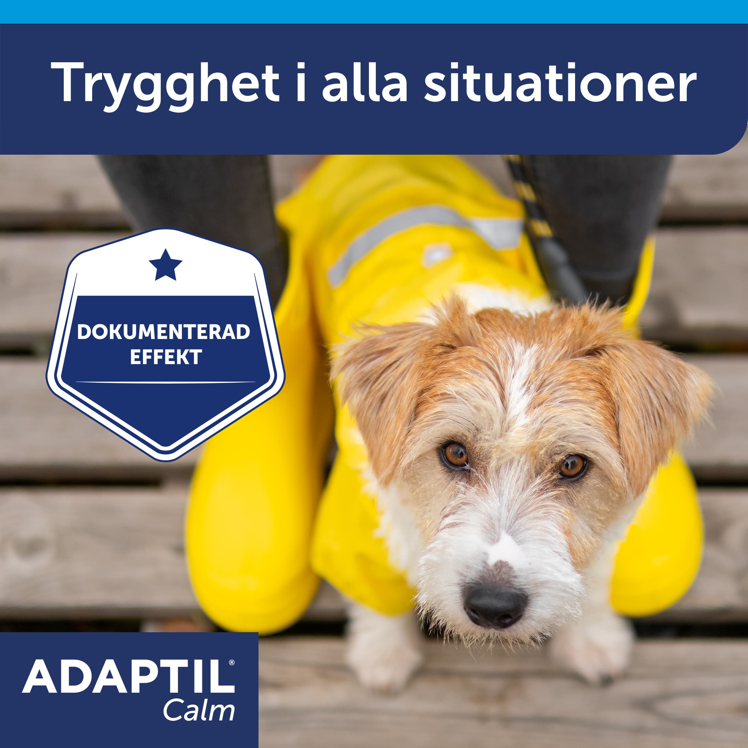 Adaptil Calm Halsband S/M - produktbild 4