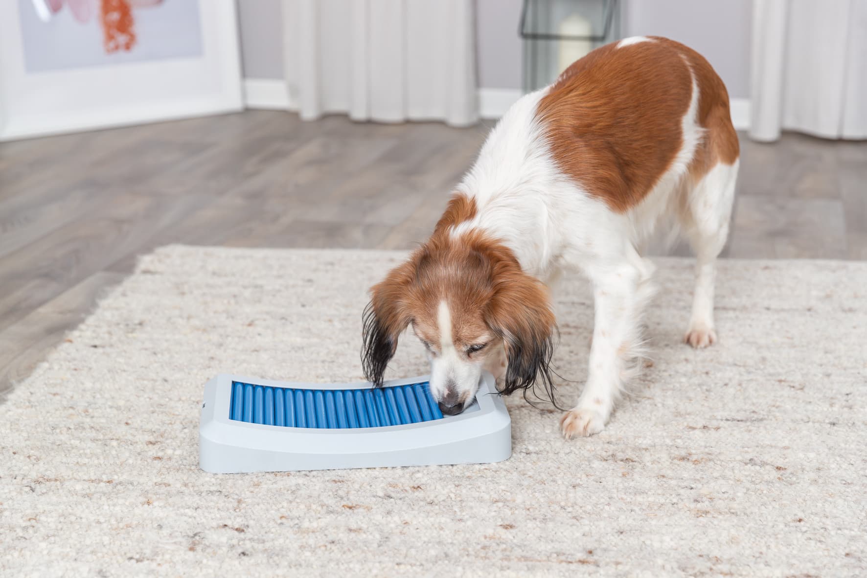 Trixie Dog Activity Rod Board Nivå 1 35 × 19.5 cm - produktbild 5