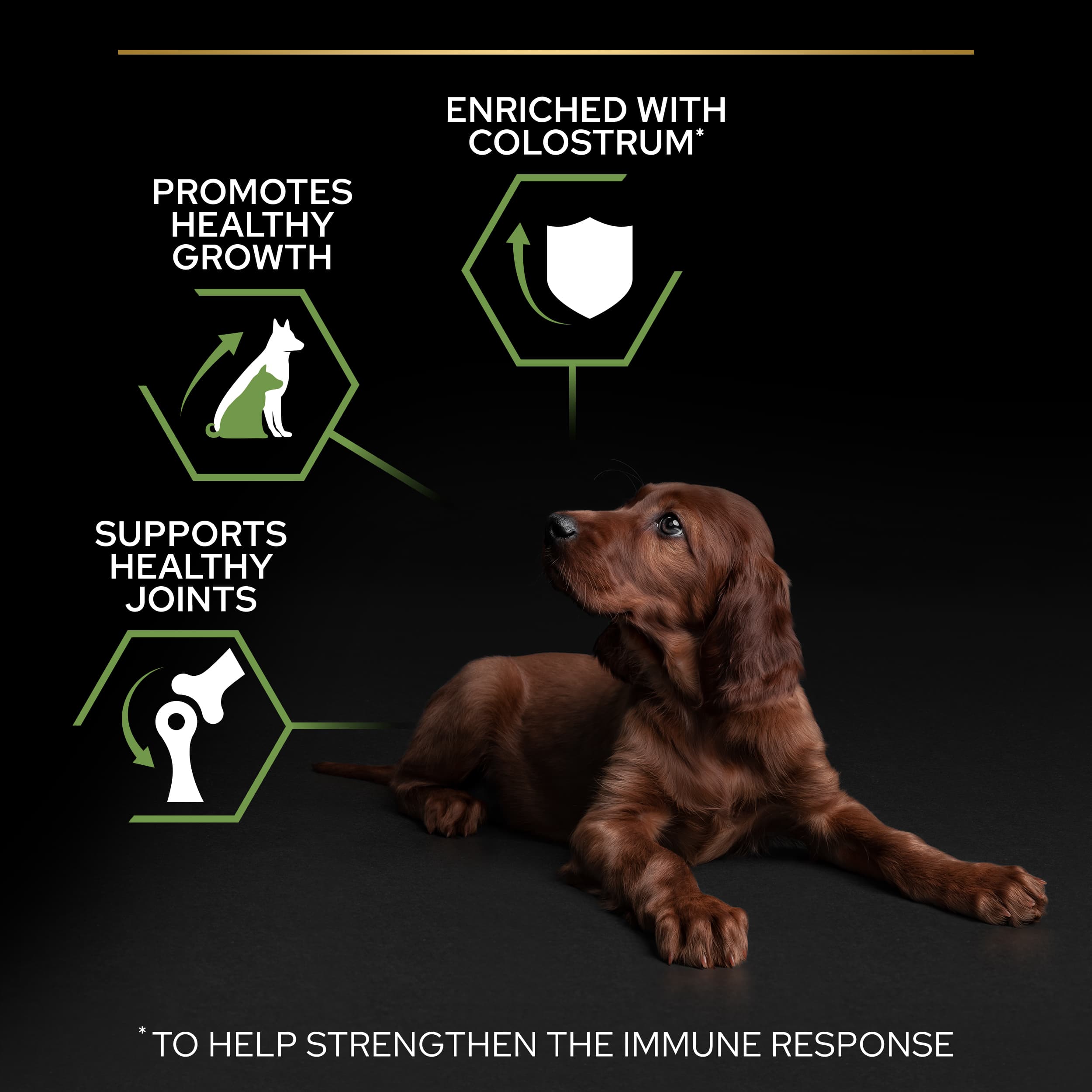 Purina Pro Plan Small & Mini Puppy Rikt på Kyckling 7 kg 3