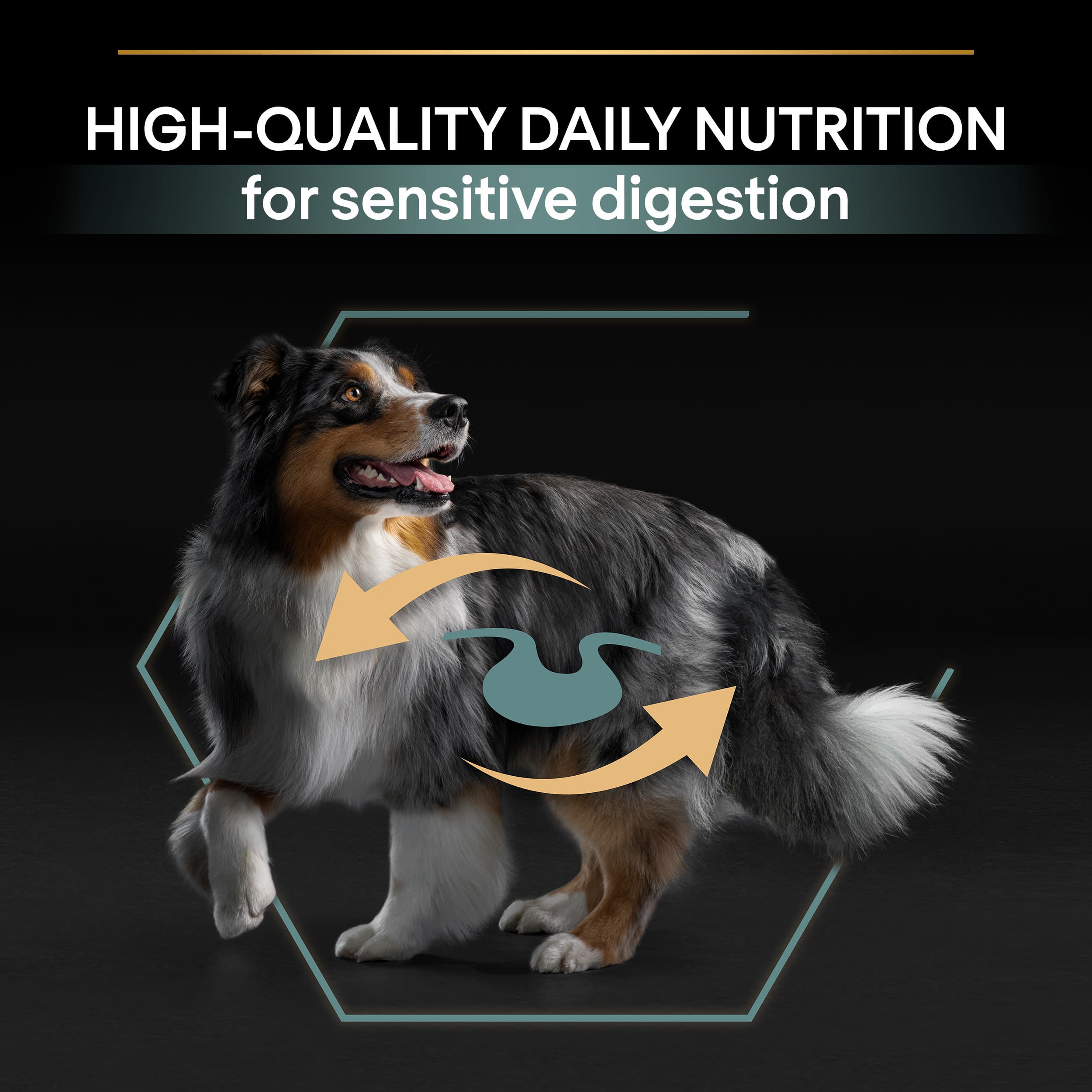Purina Pro Plan Small & Mini Adult Dog Sensitive Digestion Rikt på Lamm 7 kg 2