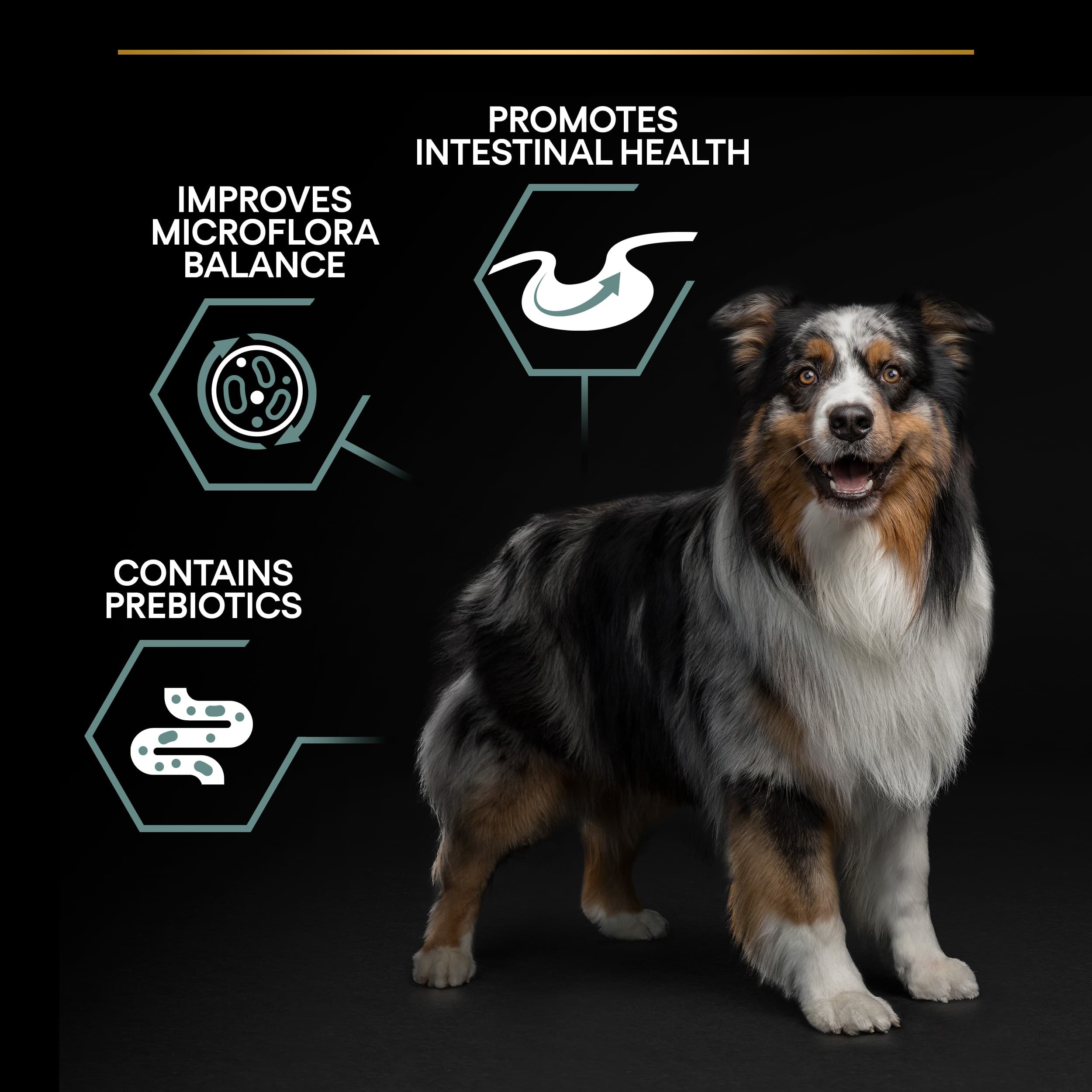 Purina Pro Plan Medium Adult Dog Sensitive Digestion Rikt på Lamm 3 kg 3