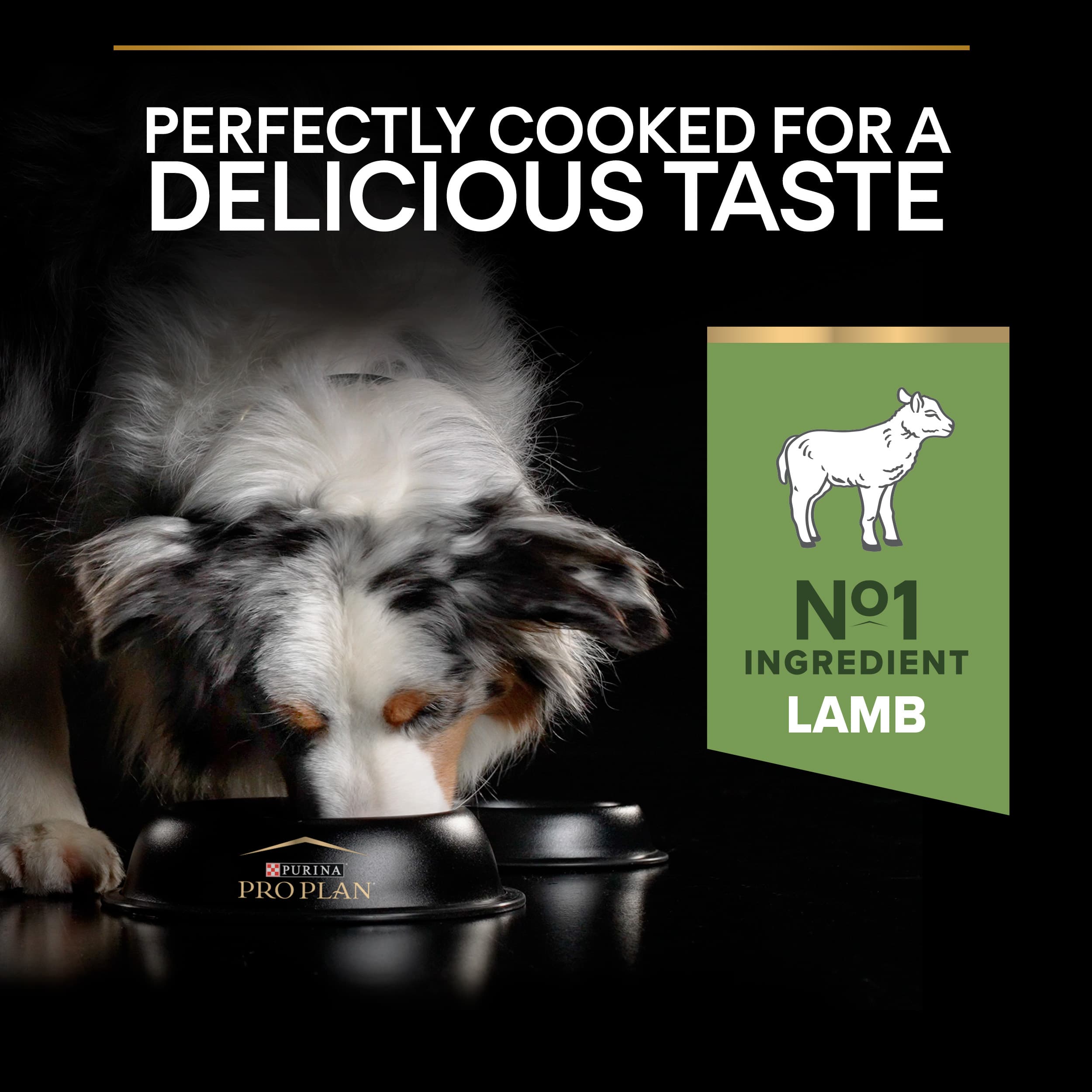 Purina Pro Plan Medium Adult Dog Sensitive Digestion Rikt på Lamm 3 kg 5