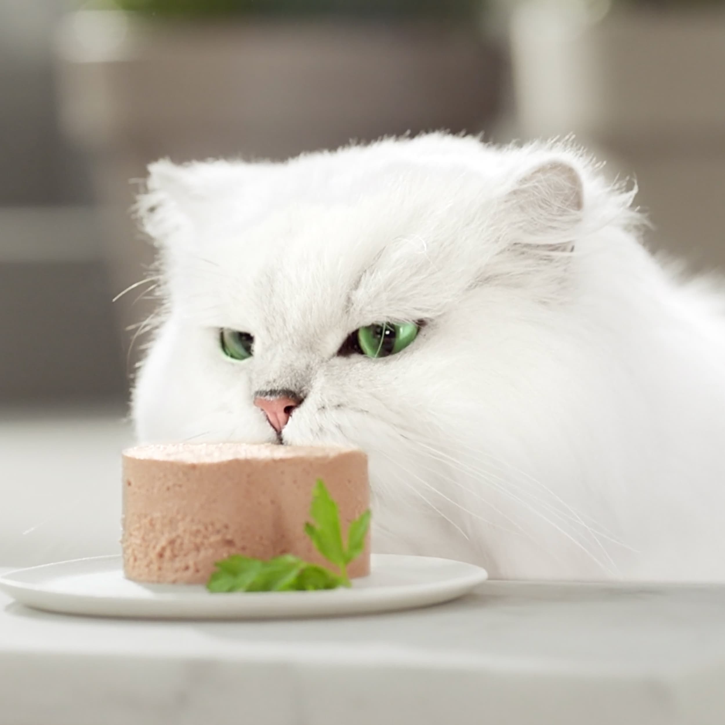 Purina Gourmet Gold Mousse Tonfisk 85 g 3