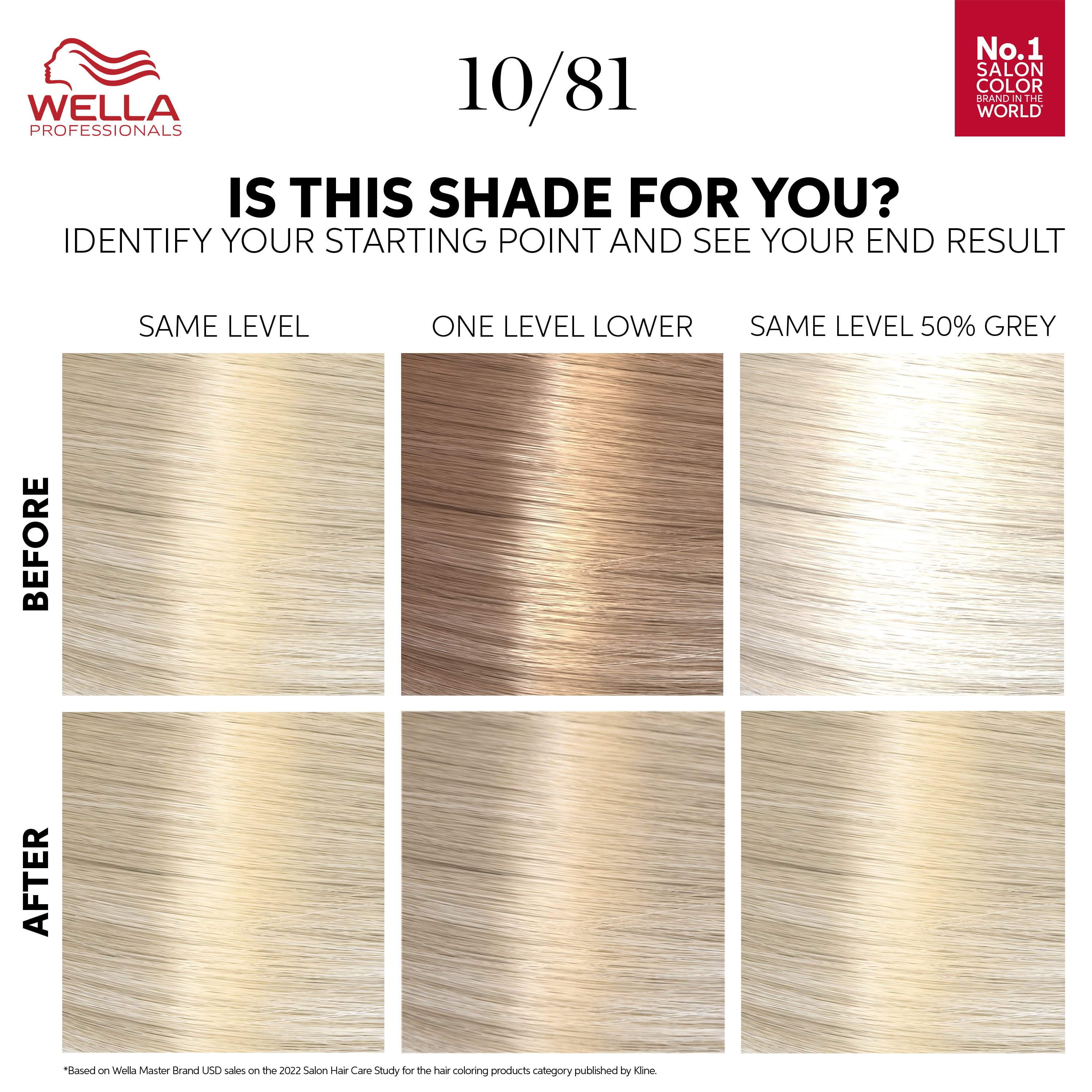 Wella Color Touch Rich Natural Platinum Blonde 10/81 130 ml - produktbild 2