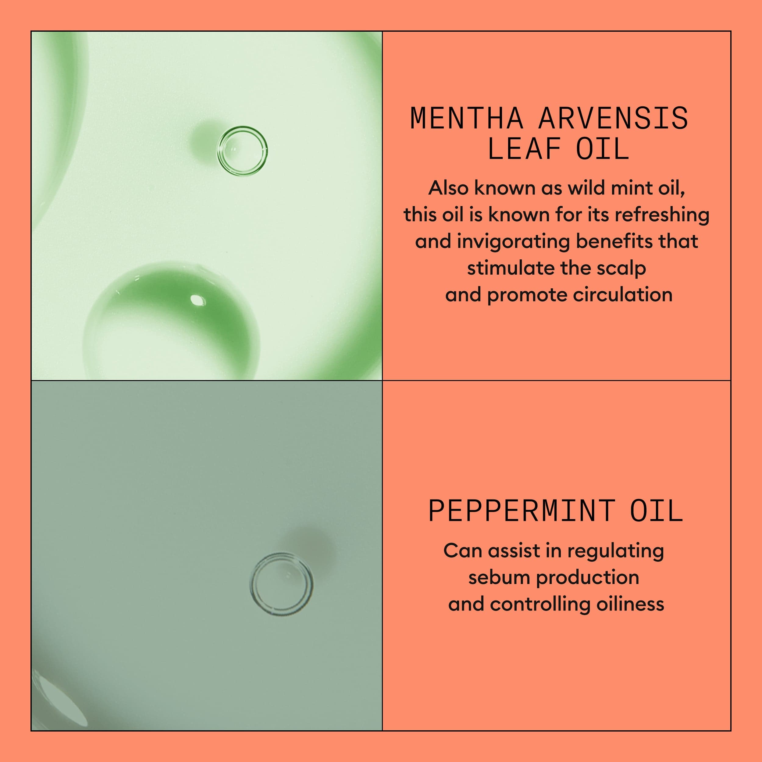 Nioxin System 4 Conditioner 300 ml - produktbild 4