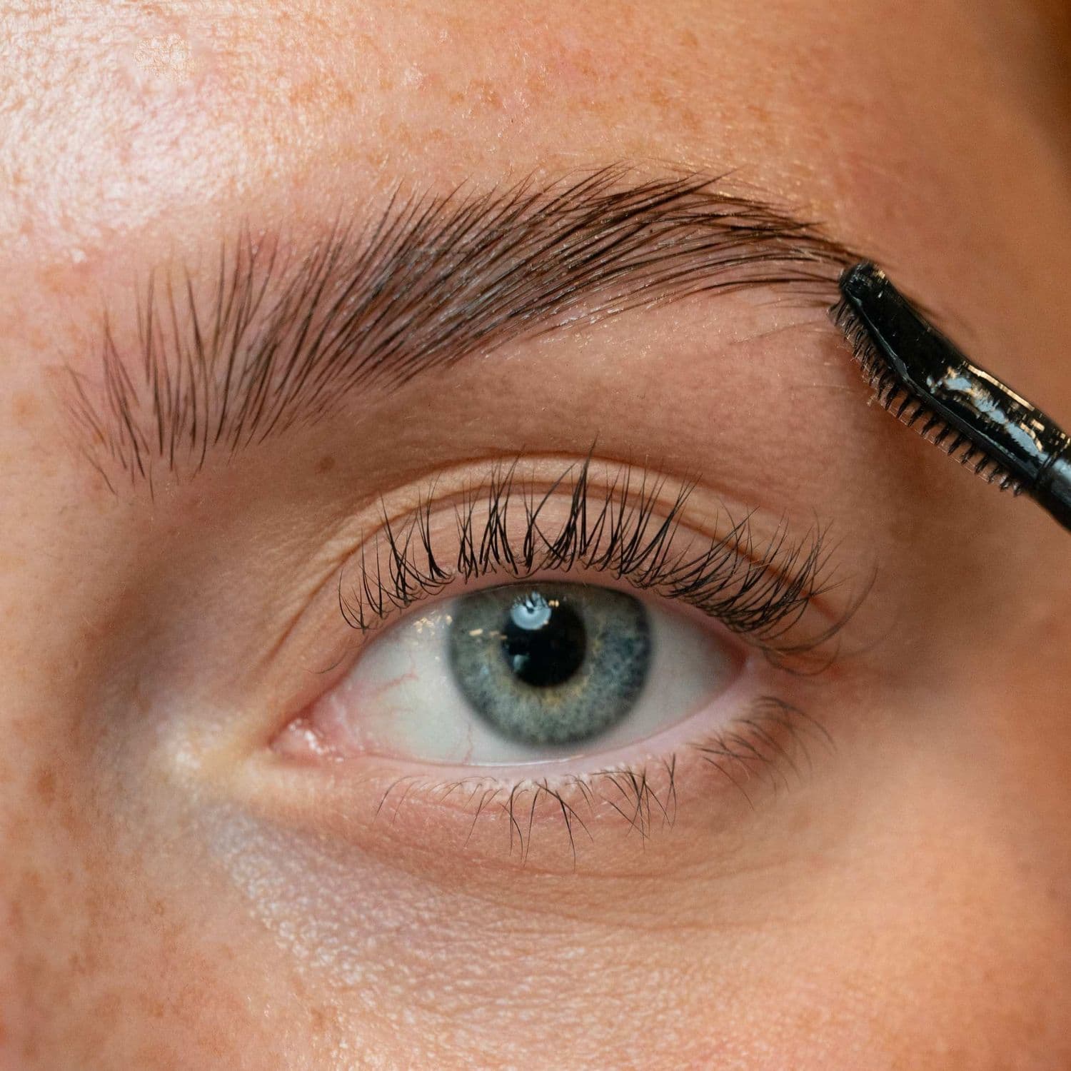 LH cosmetics The Brow Wax 7,8 ml 3