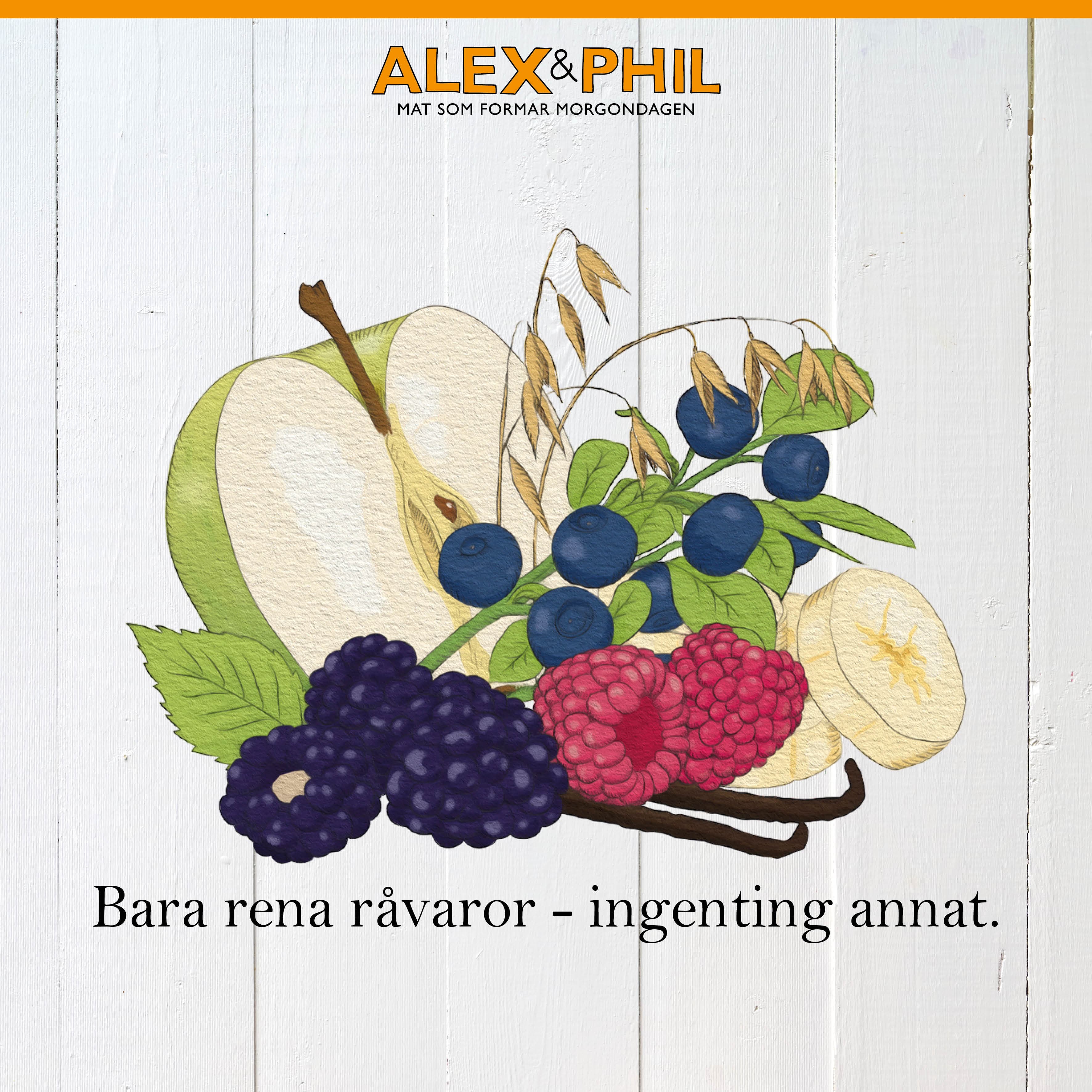Alex&Phil Blåbär & vaniljsmoothie 5 x 100 g 3