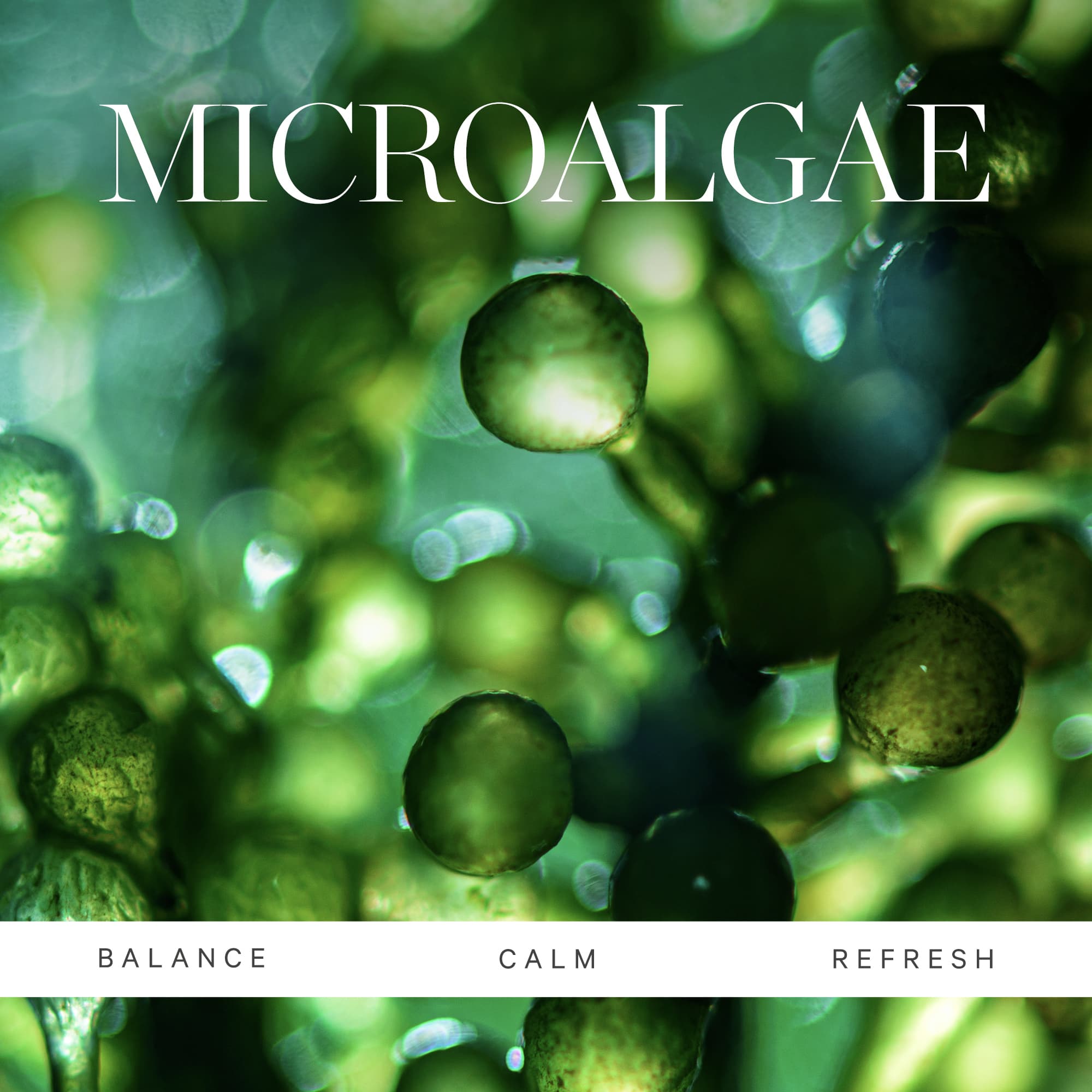 KORA Organics Active Algae Minty Mist 100 ml - produktbild 5