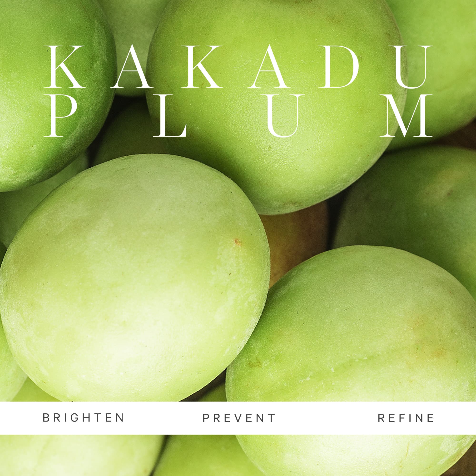 Kora Organics Kakadu Plum Vitamin C Serum 30 ml - produktbild 5