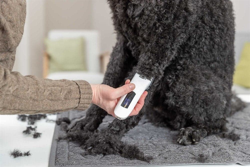 Trixie Klippmaskin TR1600 Sladdlös 10 W - produktbild 5