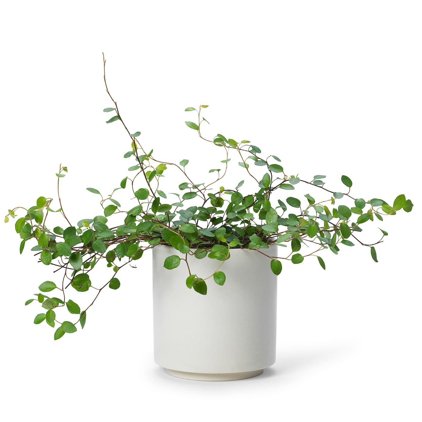 In Flore Estrid Doftljus Foggy Vanilla 465 g 3
