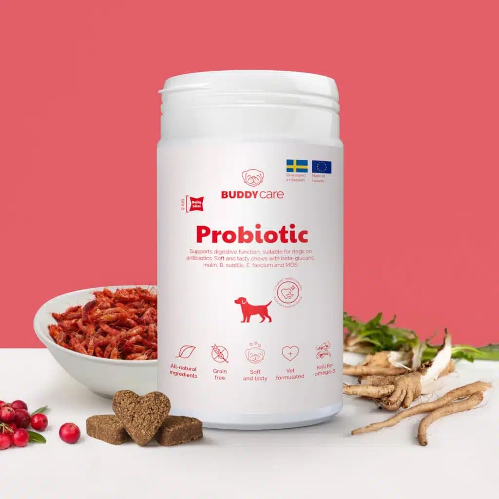 BuddyCare Probiotic 150 g 2