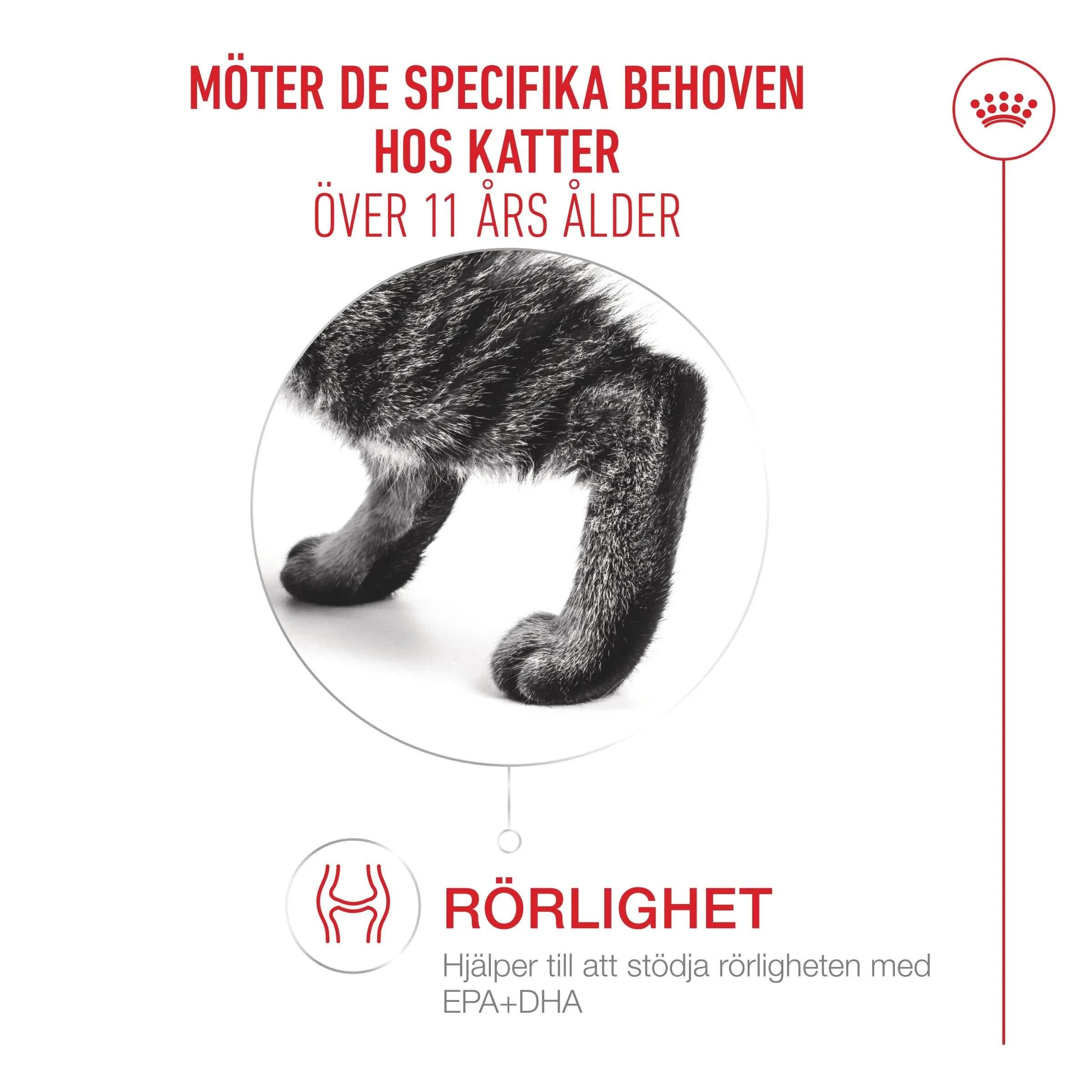 Royal Canin Ageing 11+ Bitar i Gelé Våtfoder för Katt 1,02 kg 4