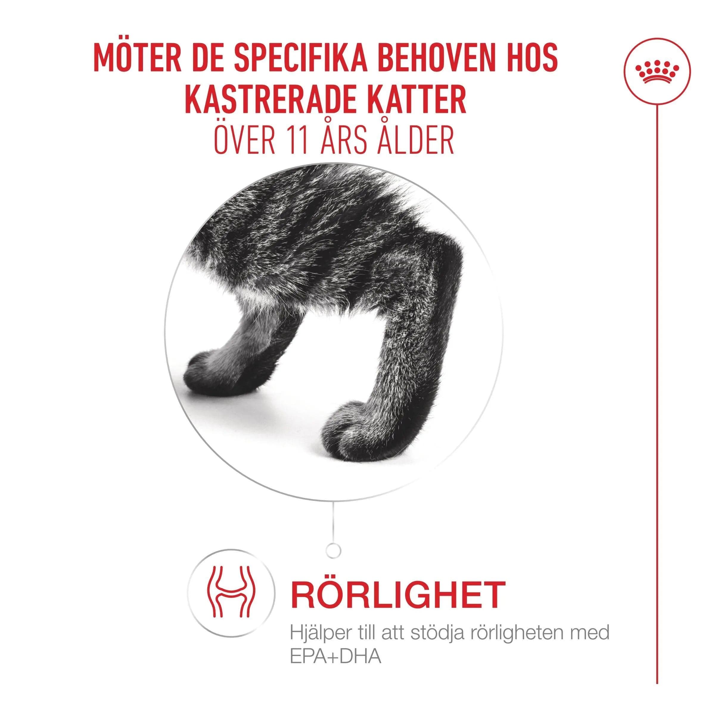 Royal Canin Ageing 11+ Sterilised Torrfoder för Katt 2 kg - produktbild 4