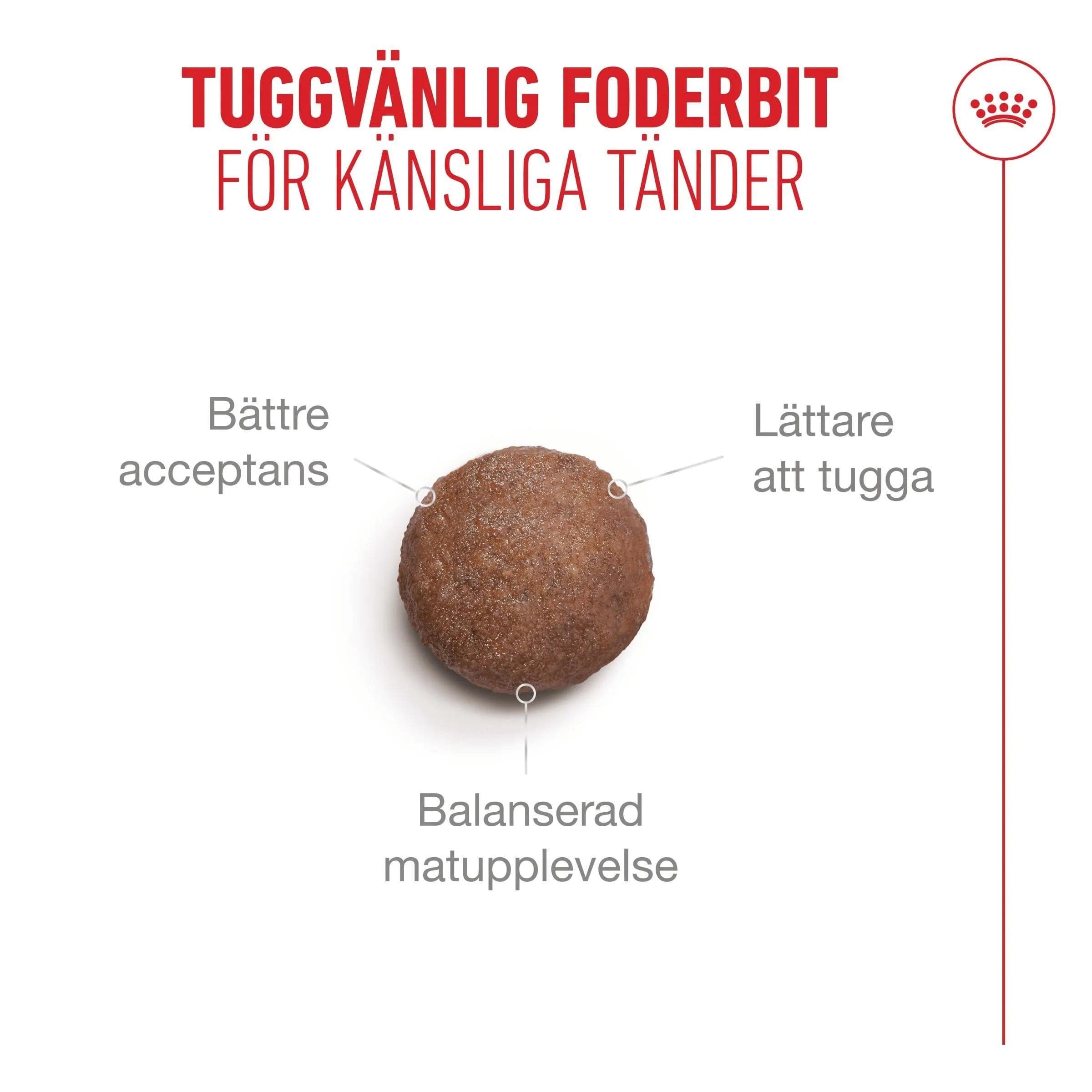 Royal Canin Ageing 11+ Torrfoder för Katt 4 kg - produktbild 4