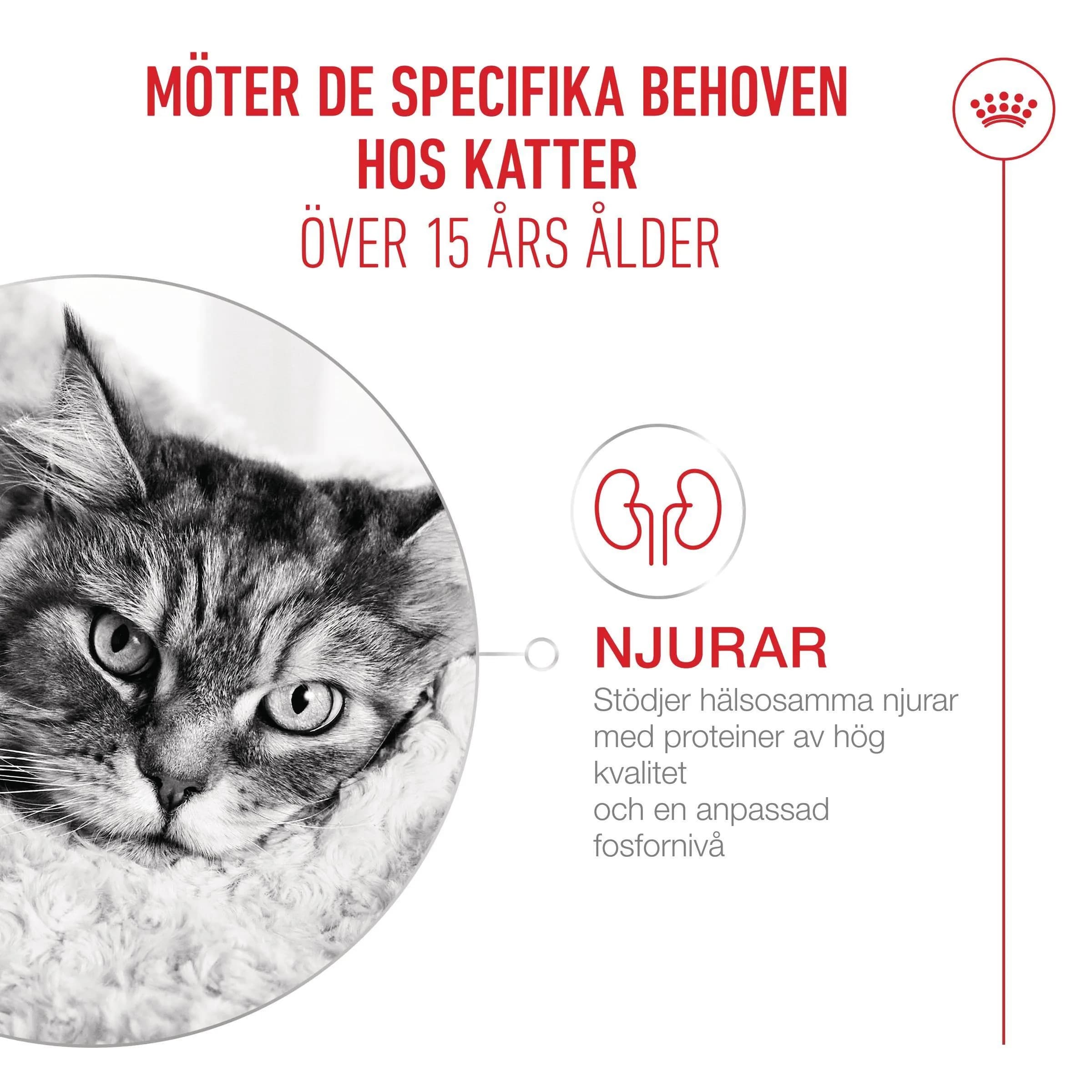 Royal Canin Ageing 15+ Bitar i Sås Våtfoder för Katt 1,02 kg - produktbild 5