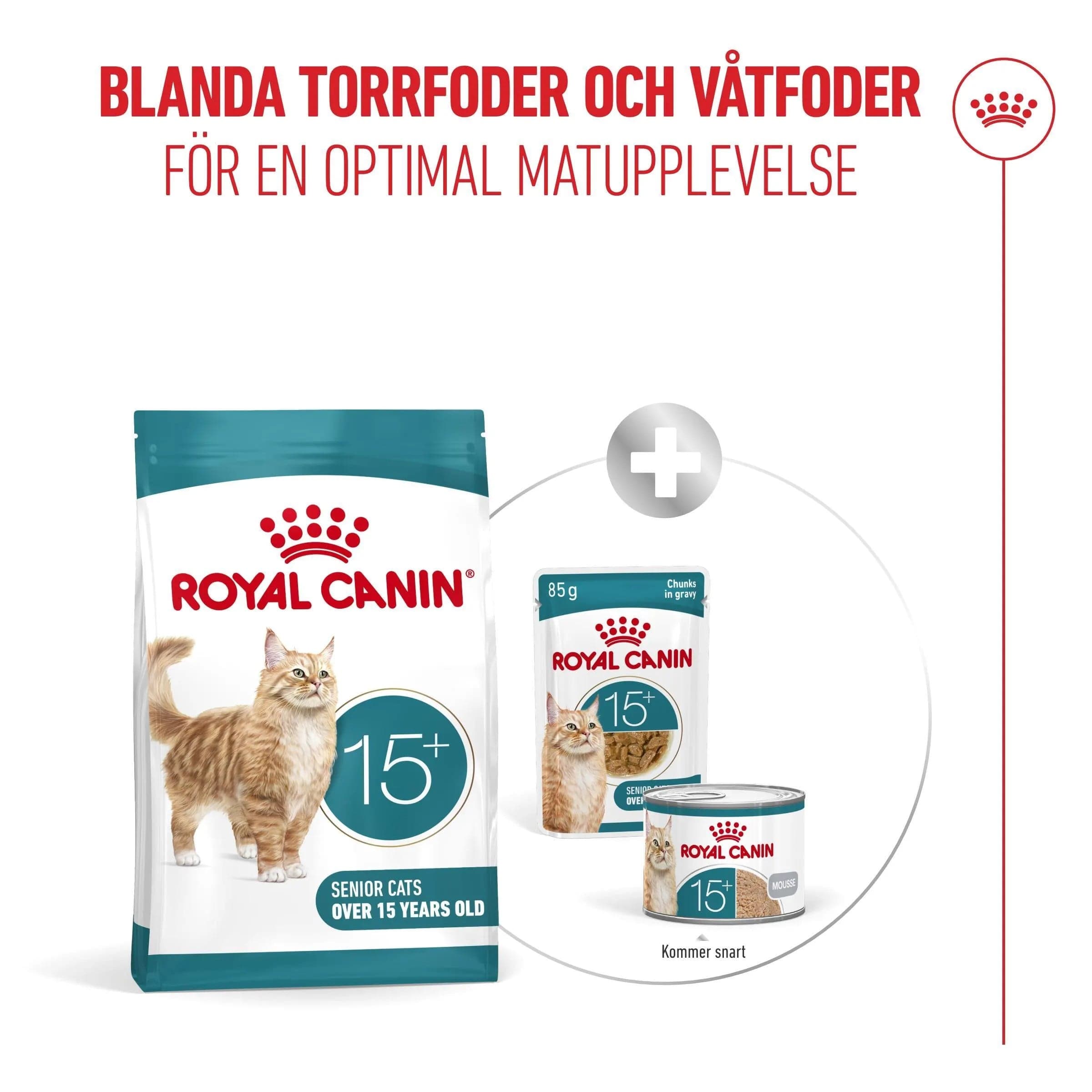 Royal Canin Ageing 15+ Torrfoder för Katt 2 kg - produktbild 5