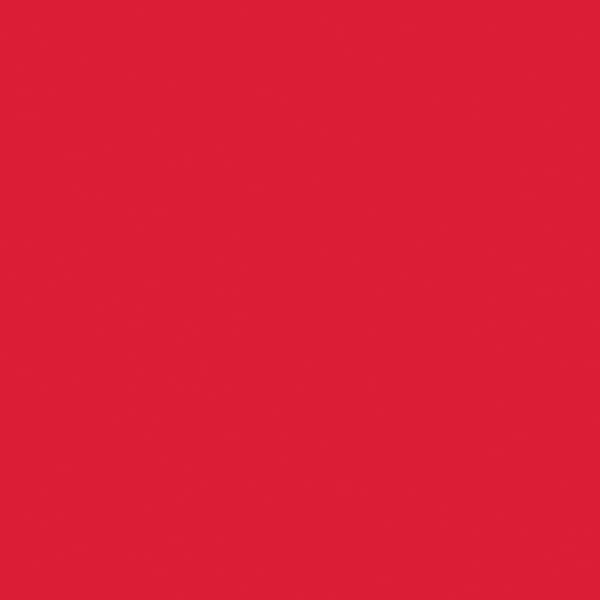 Wet n Wild Color Icon Lipliner Berry Red 1,4 g - produktbild 3
