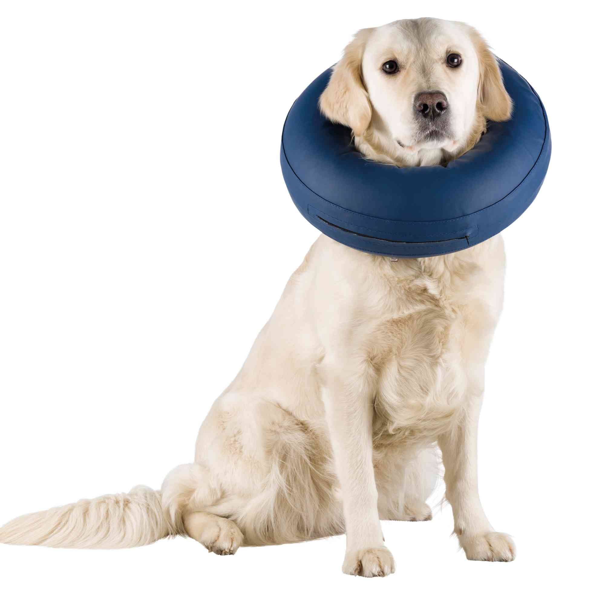 Trixie Hundkrage Uppblåsbar L-XL 66-78 cm Blå 2