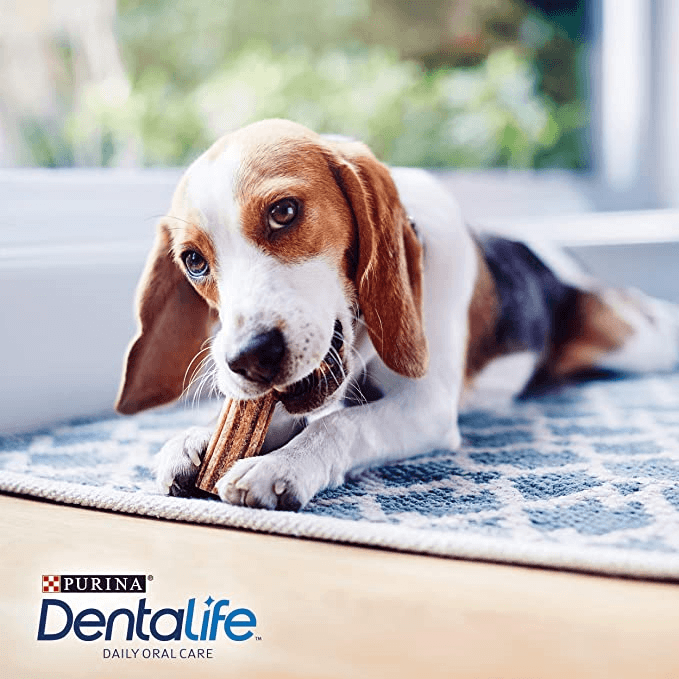 Purina DentaLife Small 7-10 kg Big Pack 30 st 2