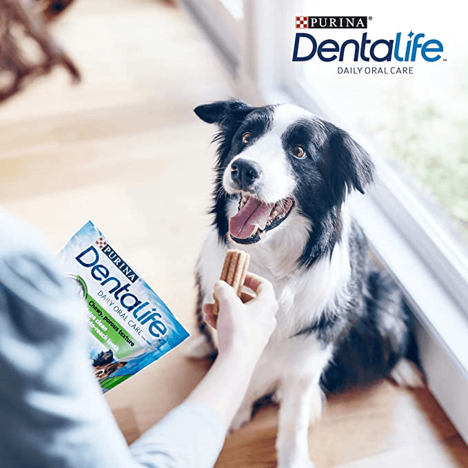 Purina DentaLife Medium 12-25 kg Big Pack 24 st 5