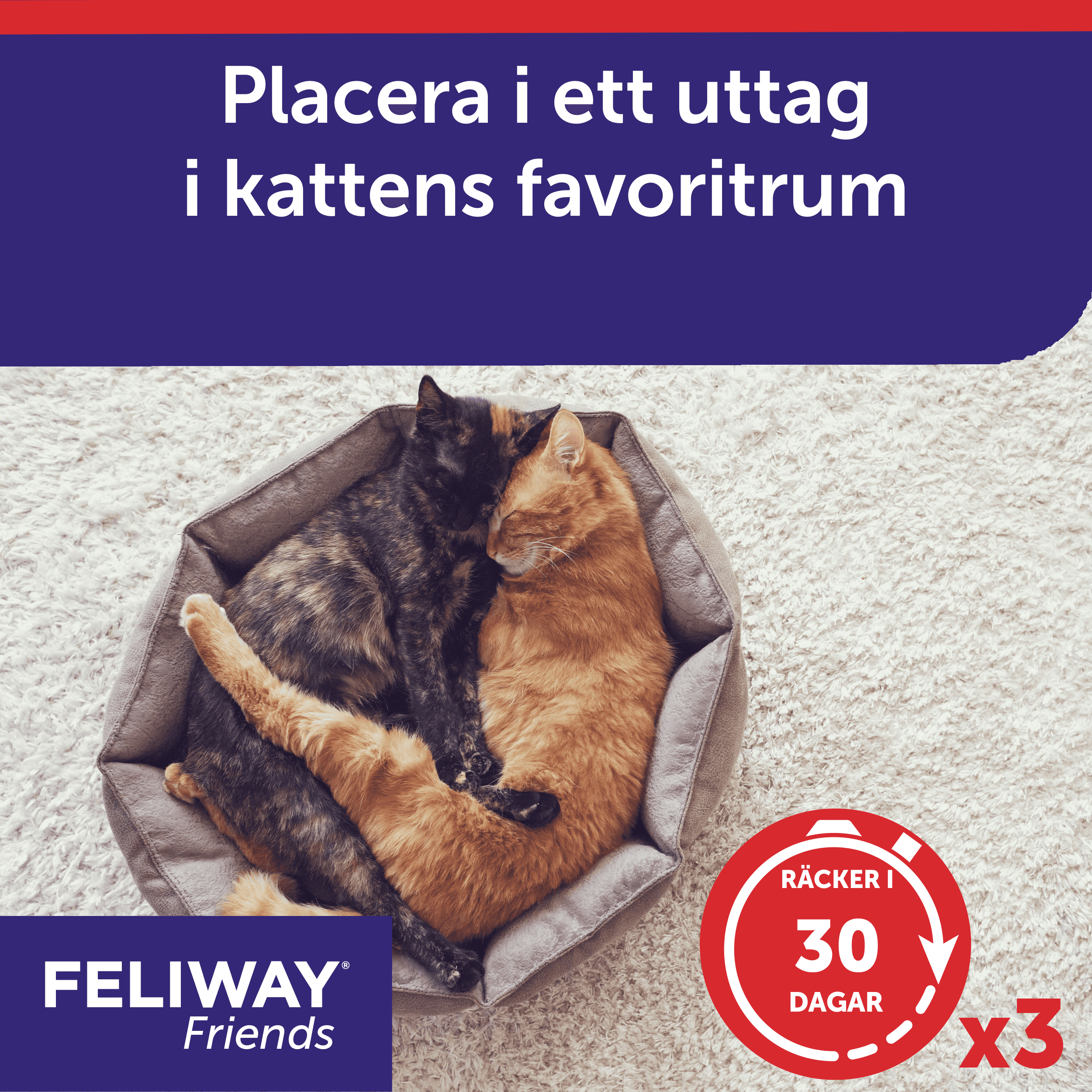 Feliway Friends Refill 3-pack 4