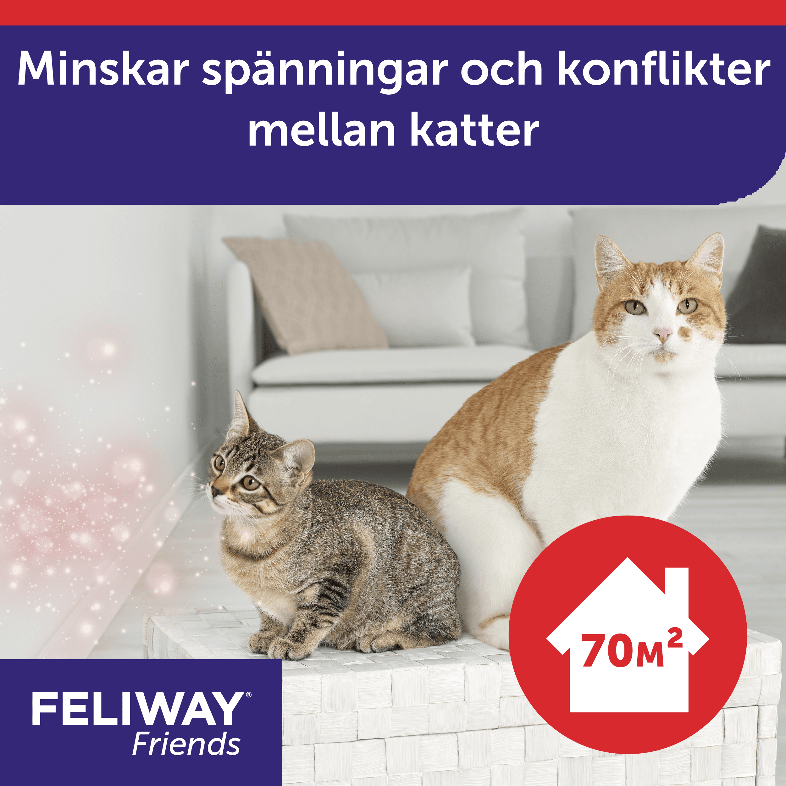 Feliway Friends Refill 48 ml 4