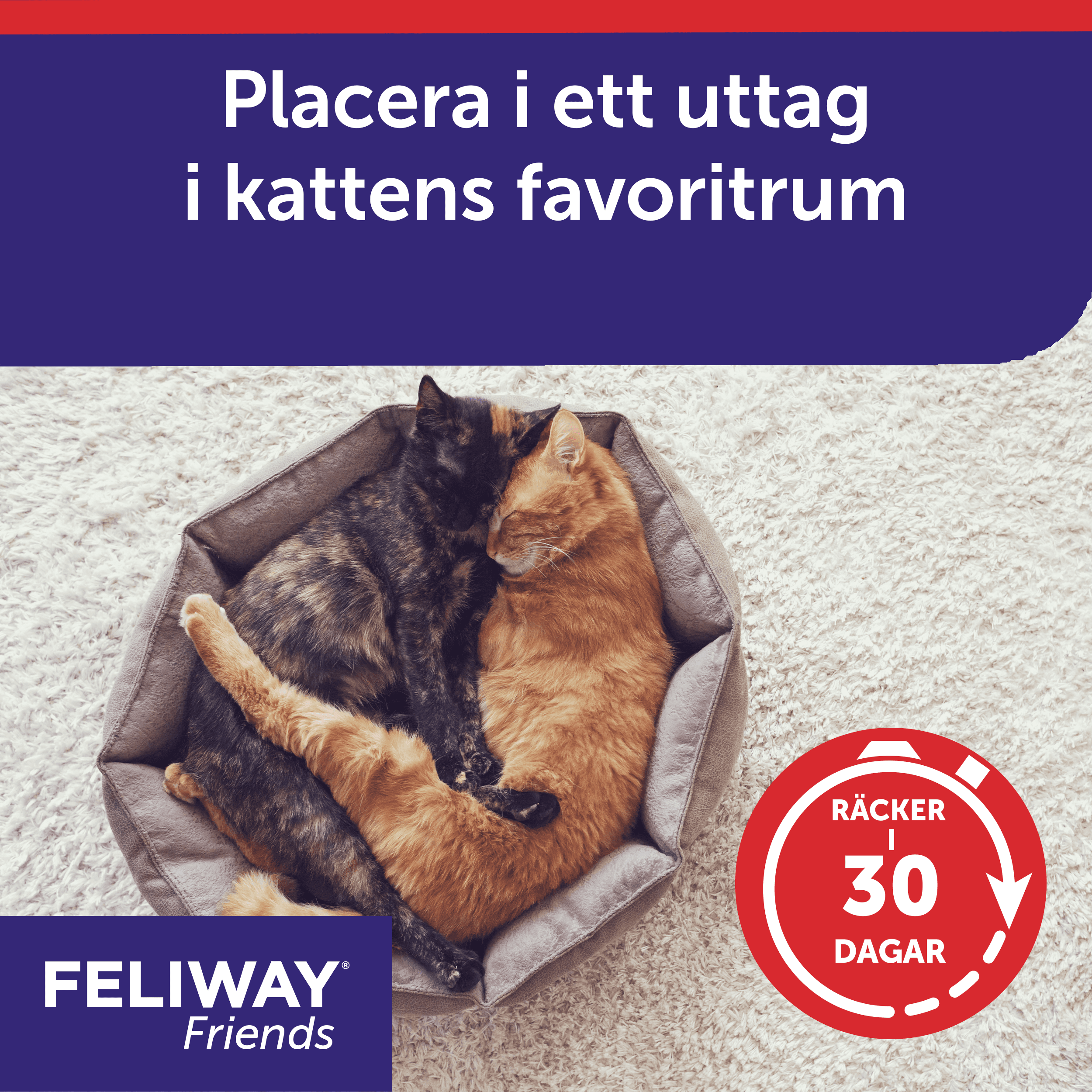 Feliway Friends Refill 48 ml 5