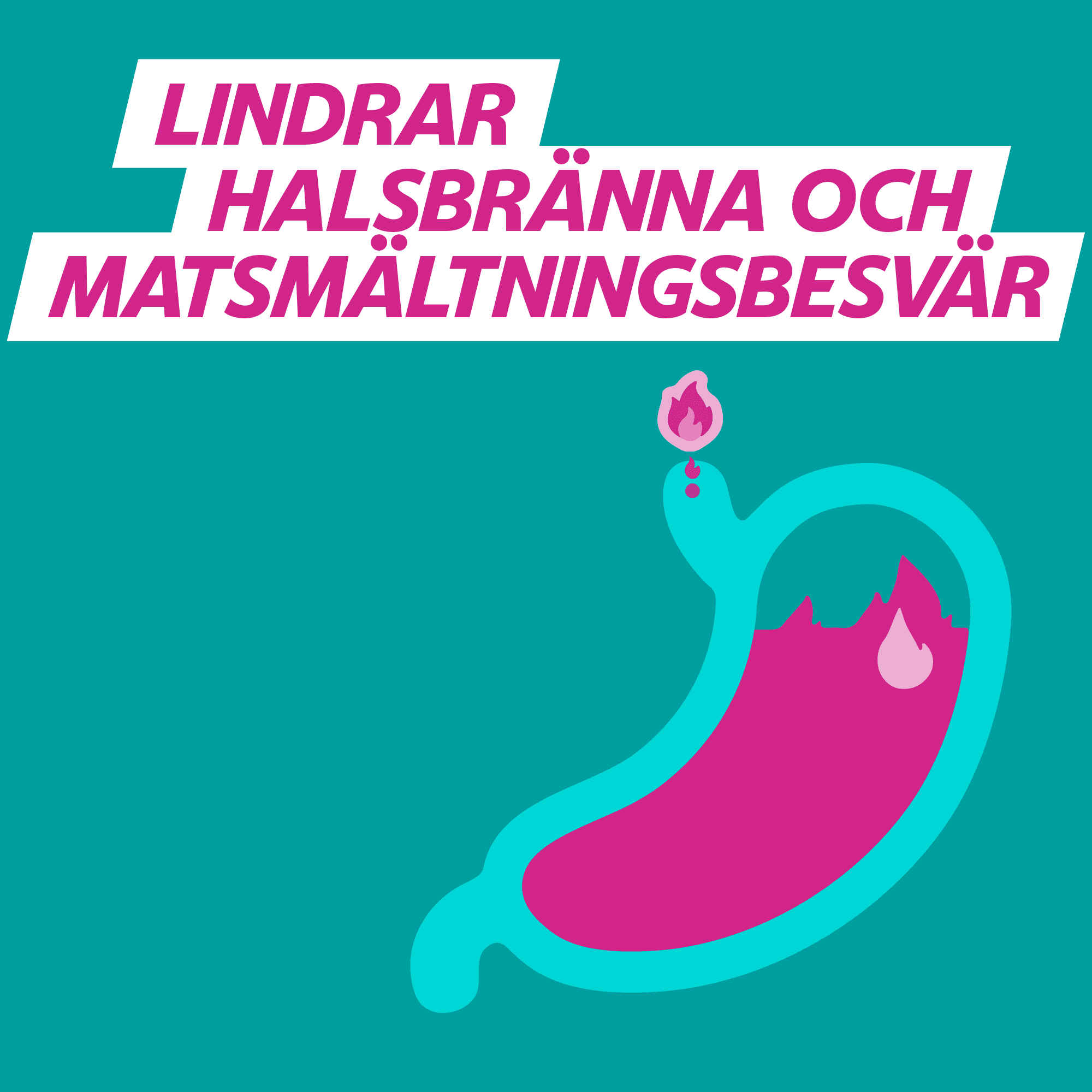 Galieve Oral Suspension mot Halsbränna & Matsmältningsbesvär Pepparmint 12x10 ml - produktbild 5