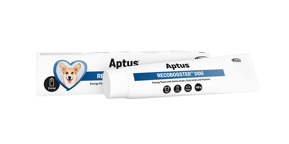 Aptus Aptus Recobooster Dog 100 g
