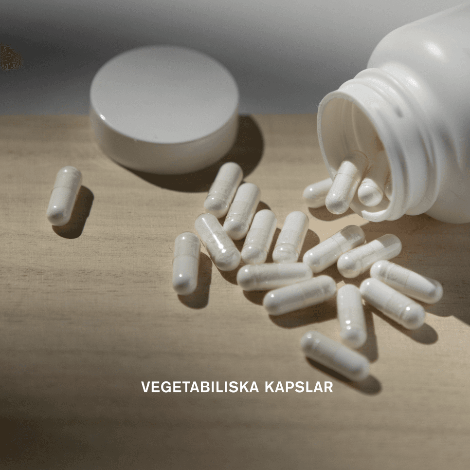 Holistic D3-vitamin Vegan 2000 IE (50 µg) 90 kapslar 5