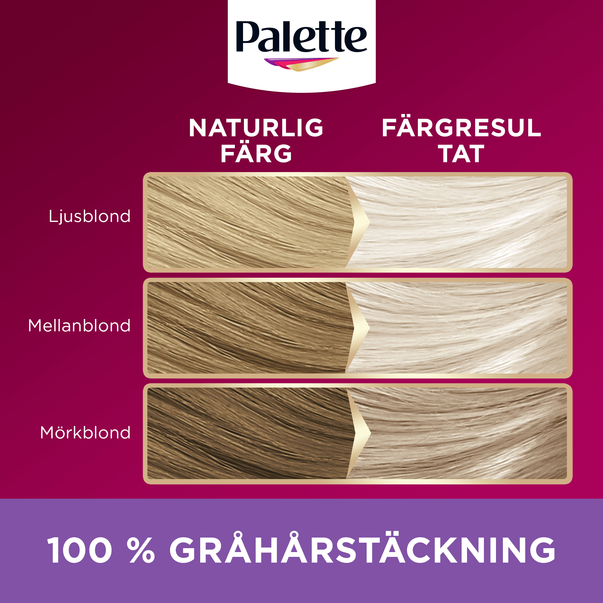 Palette Intensive Creme Coloration 11-11 Ultra Titaniumblond 5