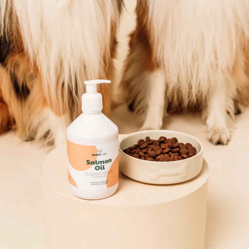 BuddyCare Salmon Oil 500 ml 5