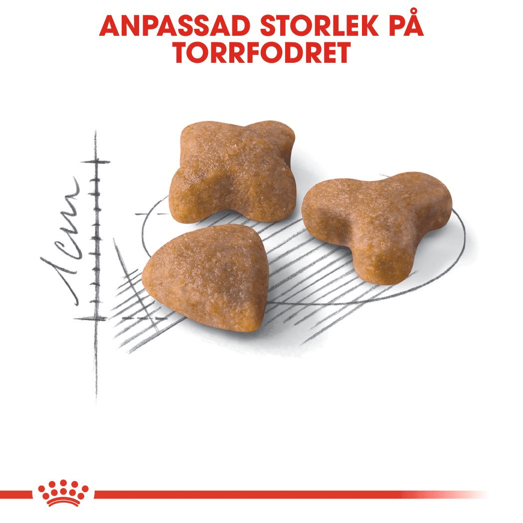Royal Canin Sensible Adult Torrfoder för Katt 10 kg 4