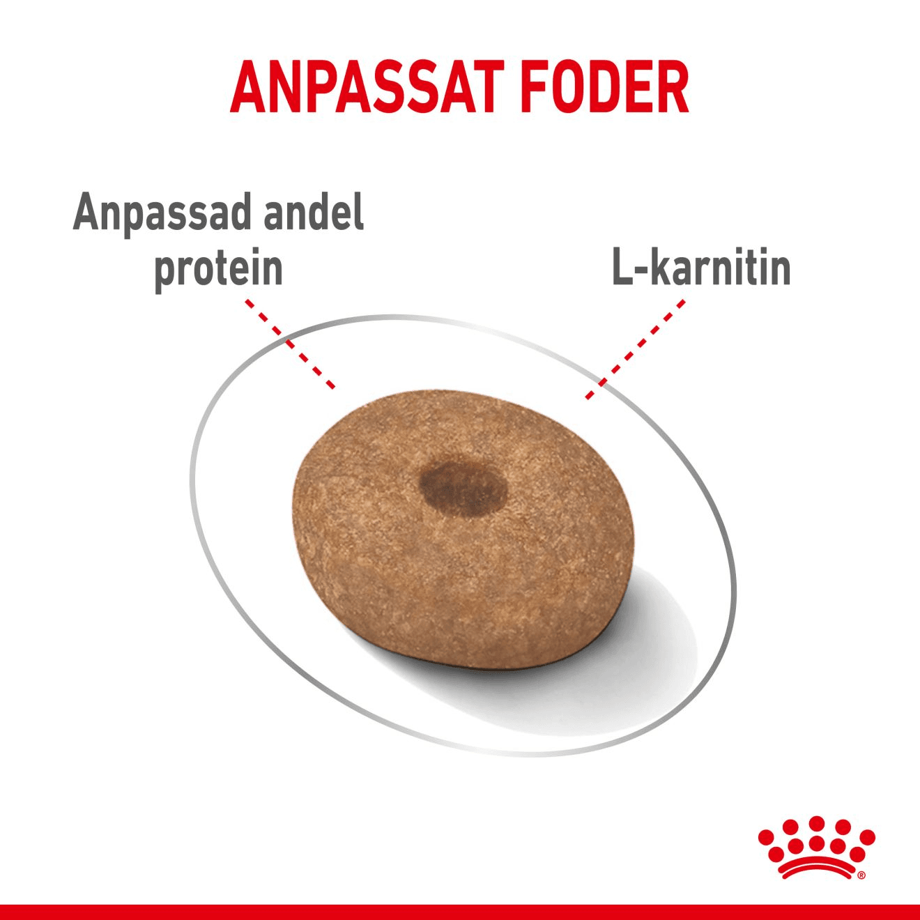 Royal Canin Light Weight Care Mini Adult Torrfoder för Hund 8 kg - produktbild 5