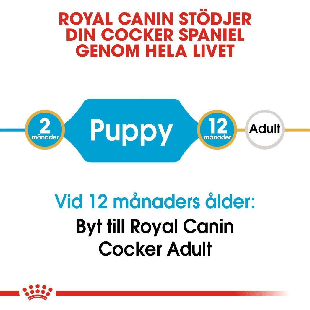 Royal Canin Cocker Puppy Torrfoder för Hundvalp 3 kg - produktbild 4