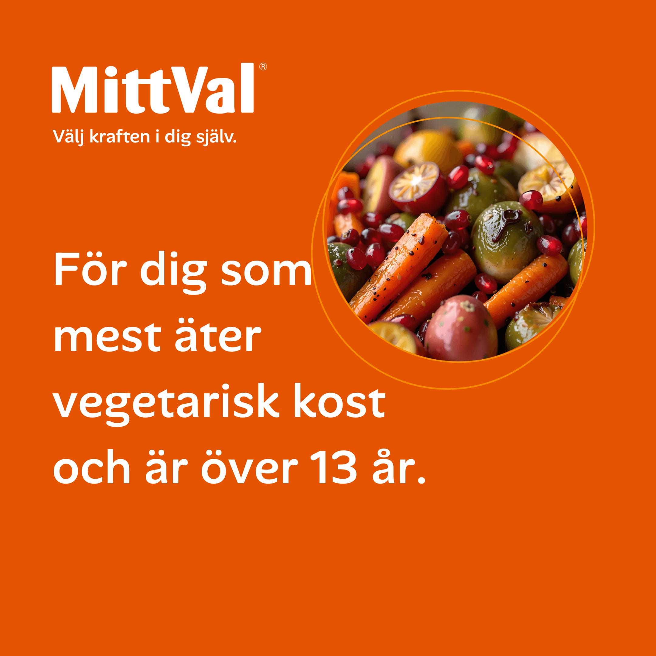 MittVal Vegetarian 100 tabletter - produktbild 2