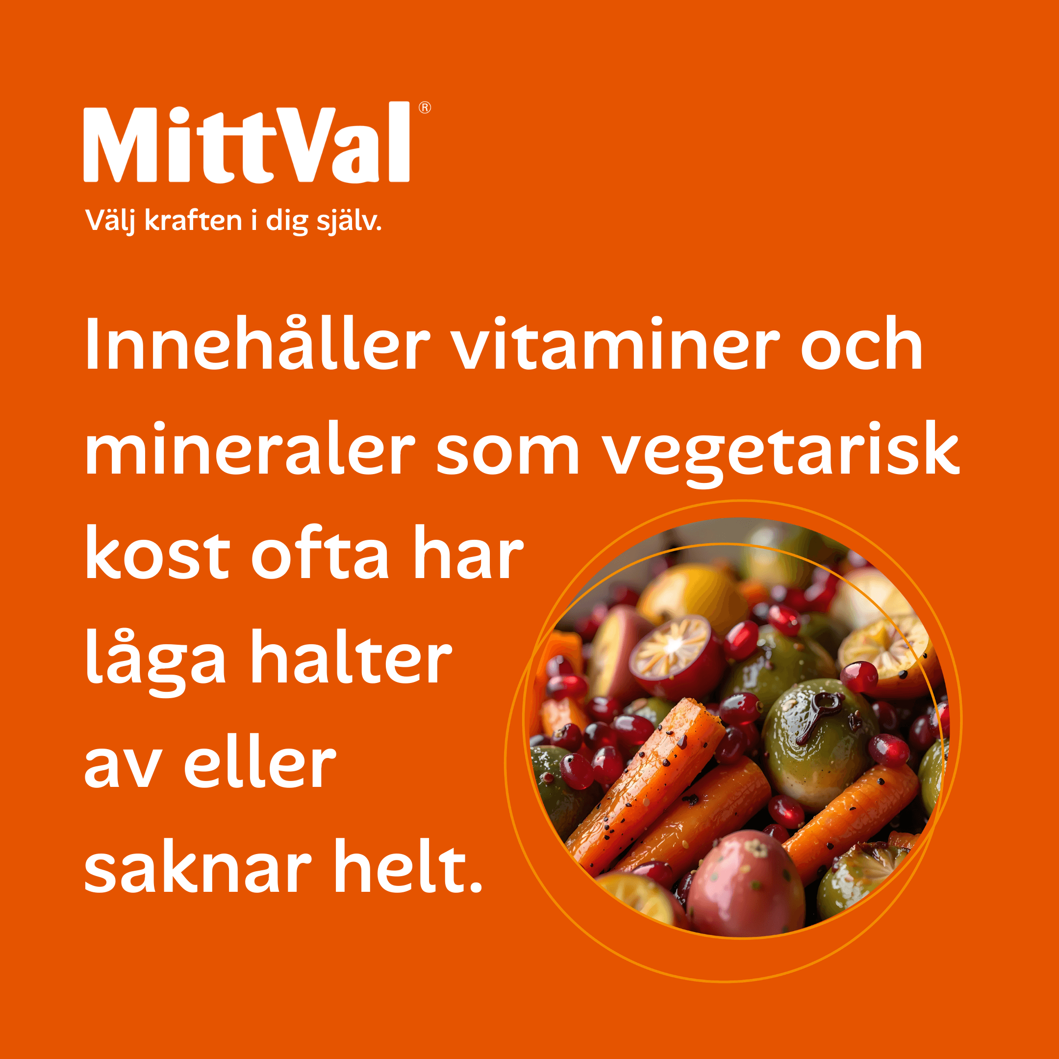MittVal Vegetarian 100 tabletter - produktbild 5