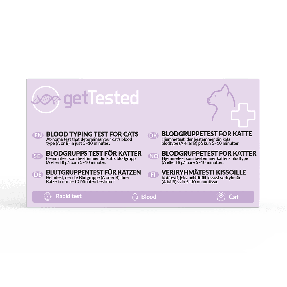 GetTested Blodgruppstest för Katter