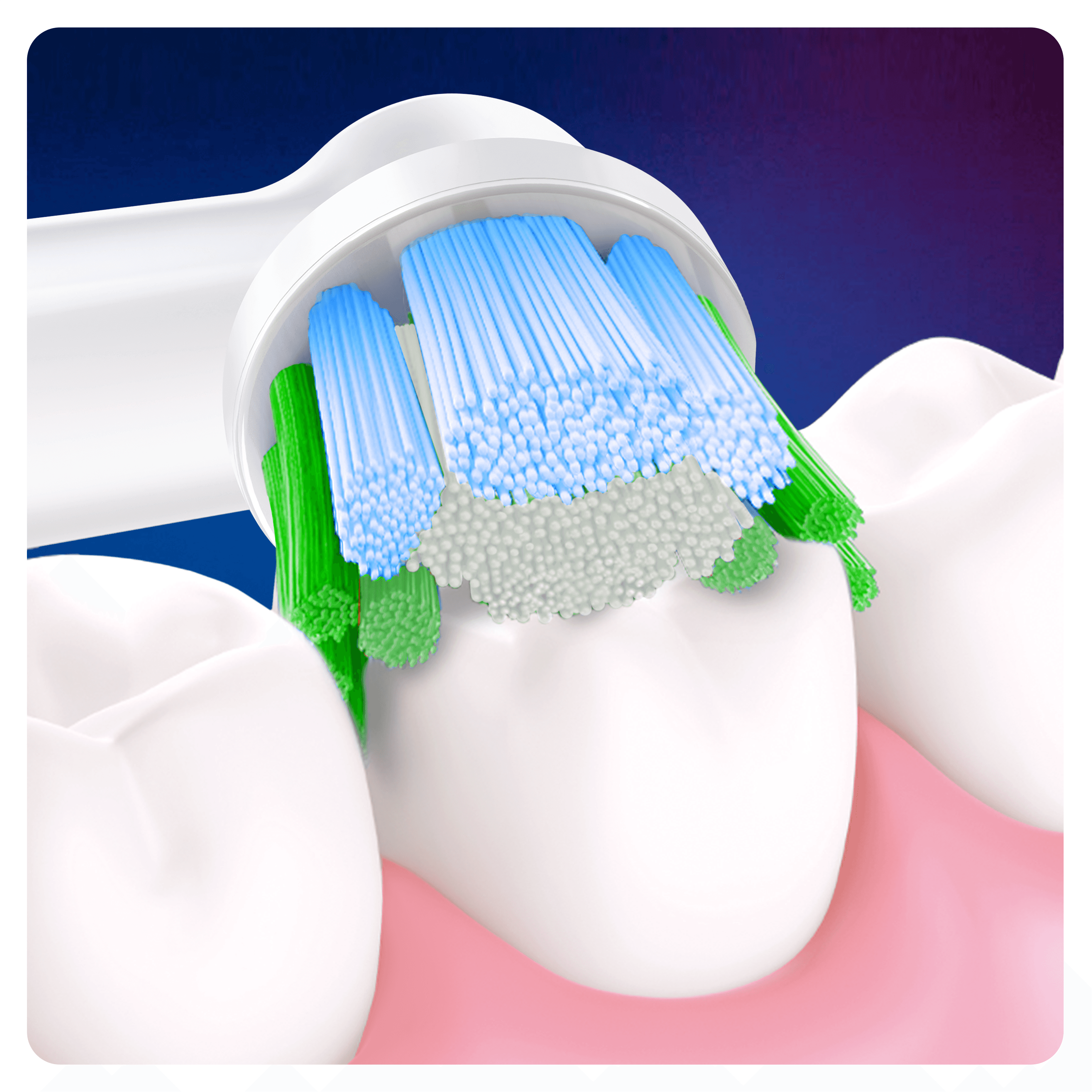 Oral-B Precision Clean Borsthuvud 10 st 5