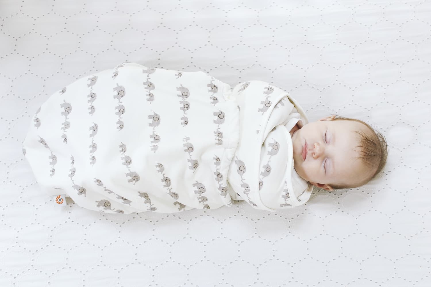 Ergobaby Swaddler Elephant 2